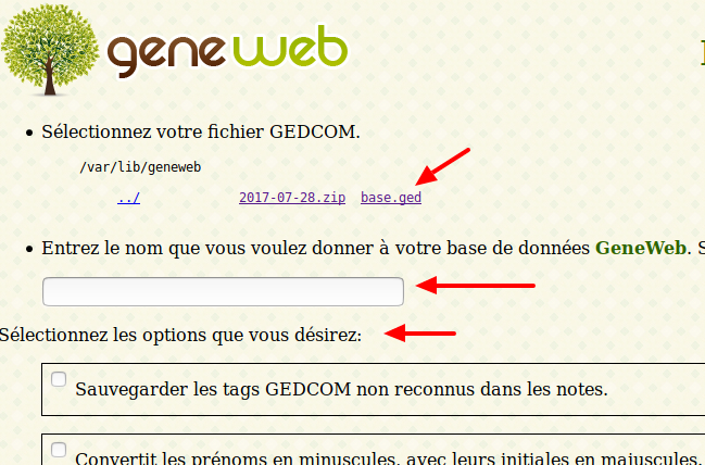 geneweb_importer_gedcom-02.png